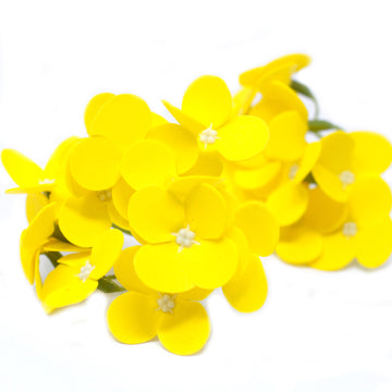 Craft Soap Flowers - Hyacinth Bean - Yellow x 10 pcs