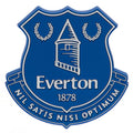 Everton FC 3D Fridge Magnet - Officially licensed merchandise.