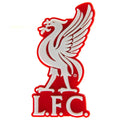 Liverpool FC 3D Fridge Magnet - Officially licensed merchandise.