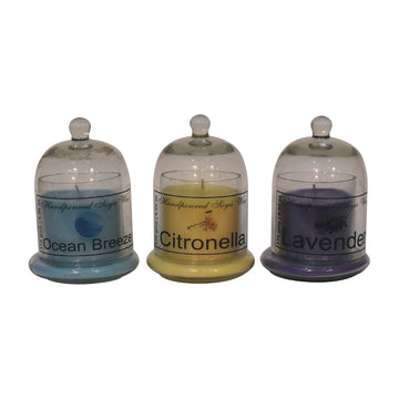 Bell Jar Candle Set of 3 (Orange, Lime & Basil, Grapefruit & Mangosteen, Jasmine & Lime)