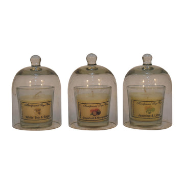 Round Candle Set of 3 (White Tea & Sage, Grapefruit & Mangosteen, Jasmine & Lime)