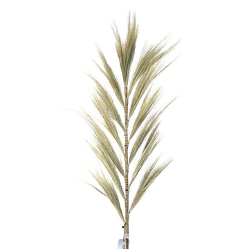 Rayung Grass Blond - 1.6m - £45.0 - 