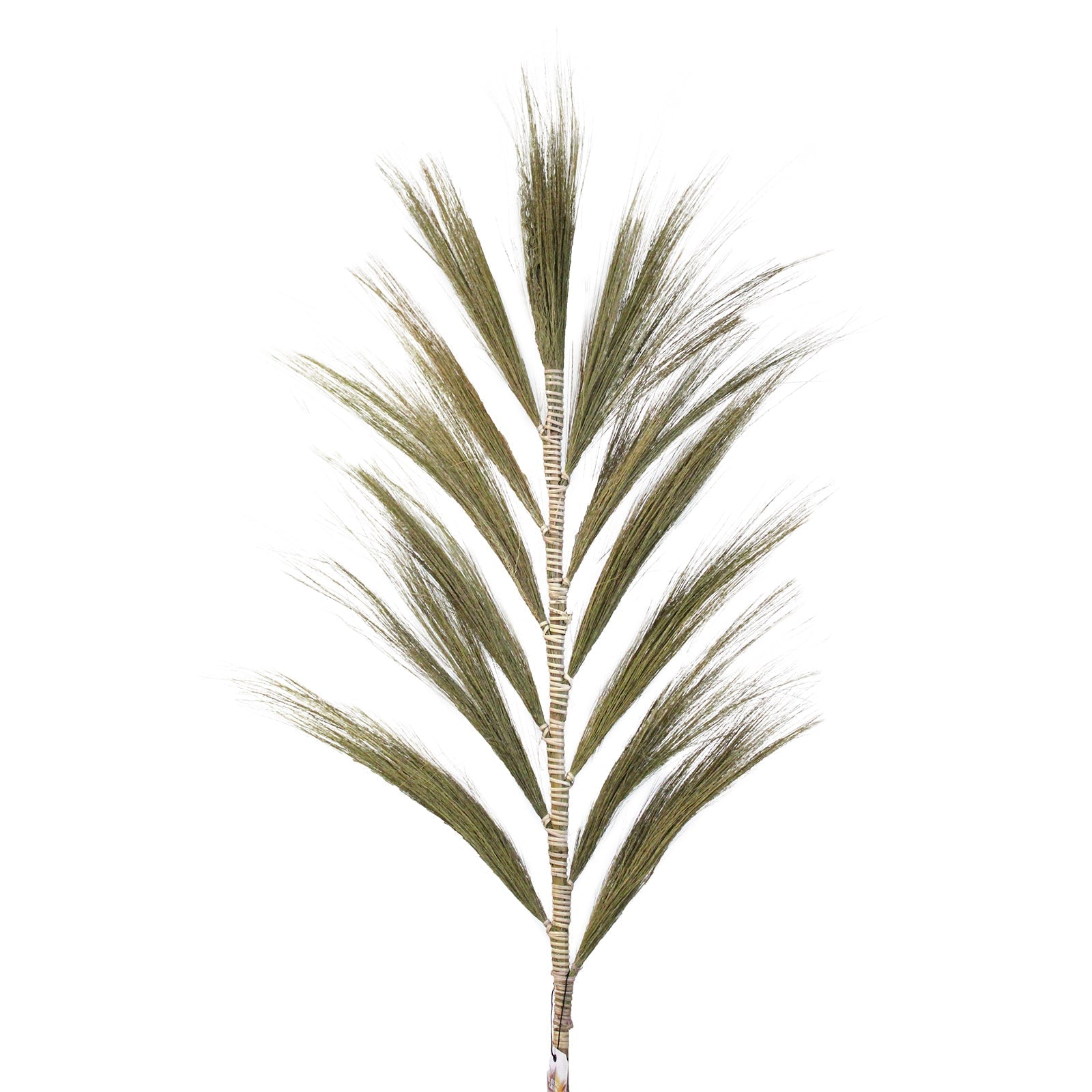 Rayung Grass Natural - 1.6m-