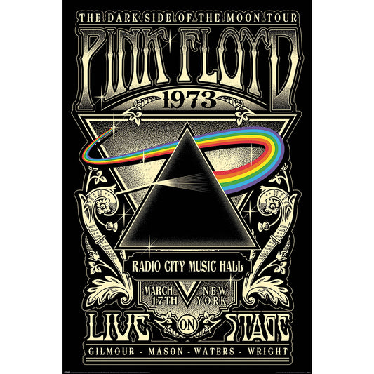 Pink Floyd The dark side of the moon Poster by Violet Girl