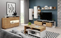 Alva Entertainment Unit-Wall Unit