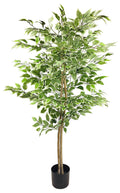 Artificial Ficus Tree With Variegation Leaves 150cm-Artificial Plants