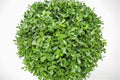 Artificial X-Large 120cm Grass Topiary Tree - £196.99 - Artificial Plants 