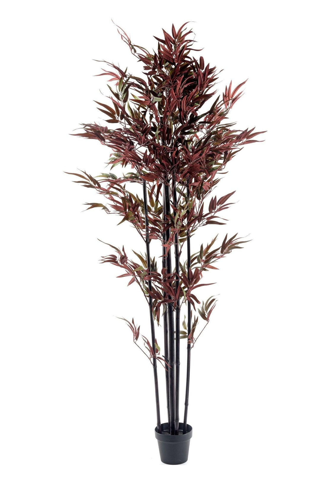 Bamboo Tree Red & Green 180cm - £176.99 - Artificial Plants 