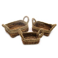 Banana Leaf & Seagrass Square Basket- Set of 3-