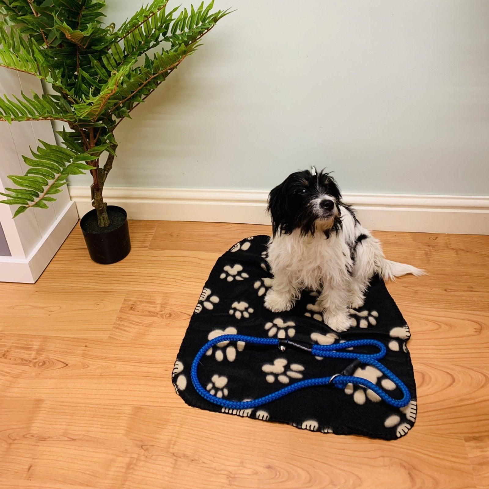 Black Paw Print Fleece Throw 60cm - £9.99 - Pet Accessories 