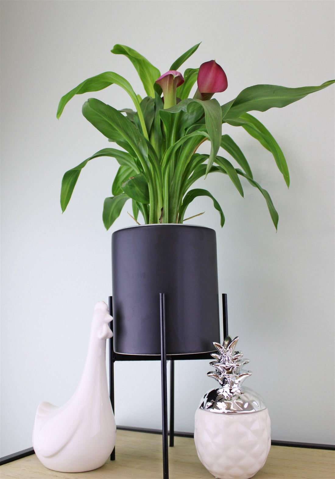 Black Planter Metal Stand 28cm - £26.99 - Planters, Vases & Plant Stands 