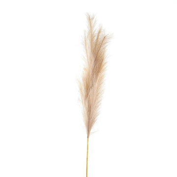 Bleached Large Faux Pampas Grass Stem - £21.95 - Artificial Flowers 