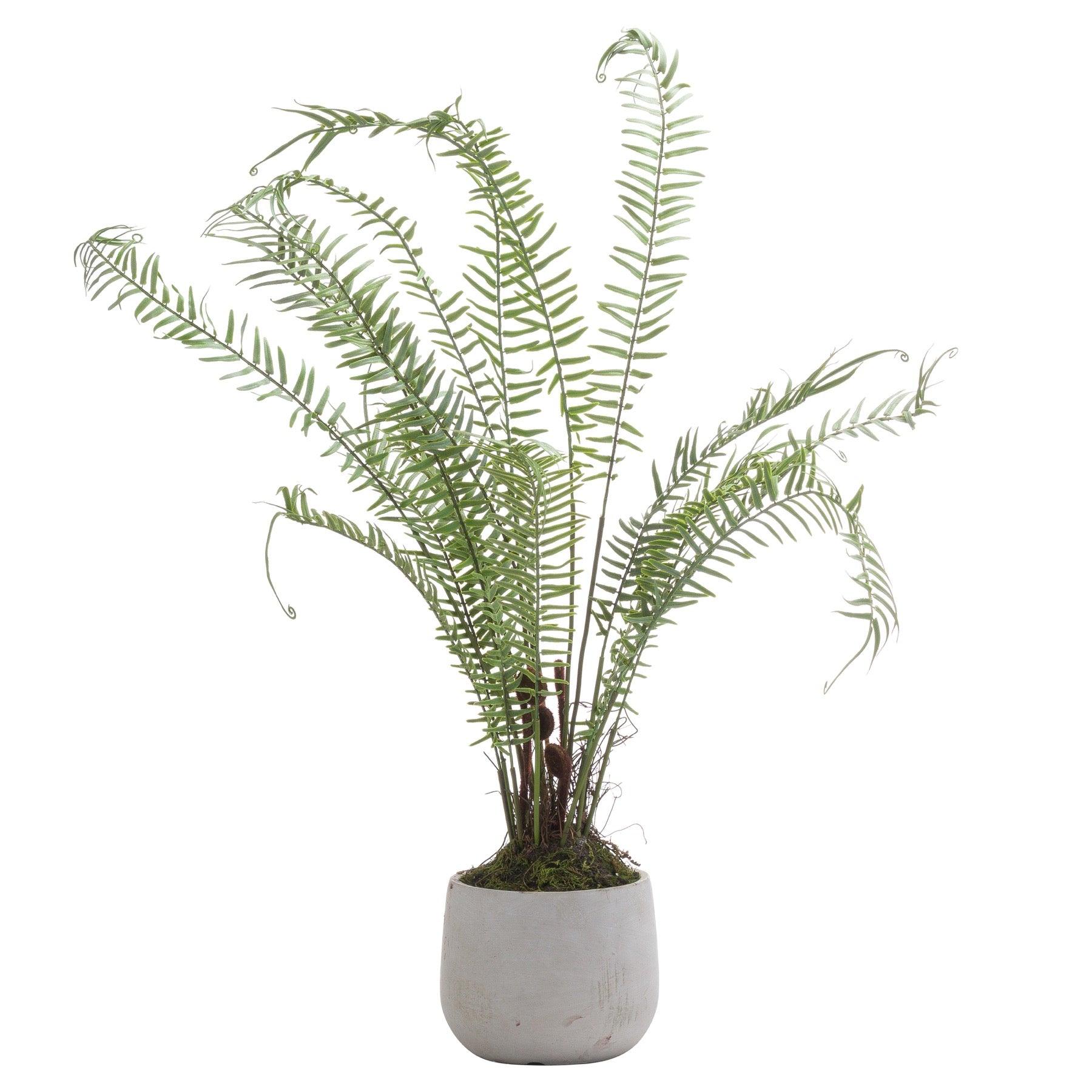 Boston Large Potted Fern - £74.95 - Artificial Flowers 