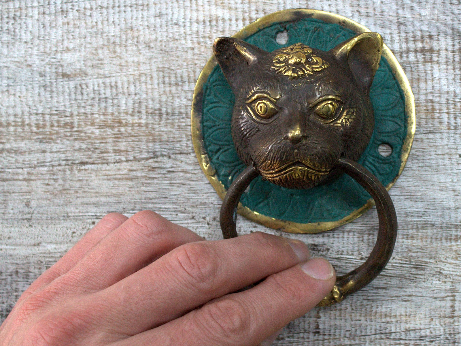 Brass Door Knocker - Tiger Head-