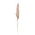 Butter Pampas Grass-Artificial Flowers