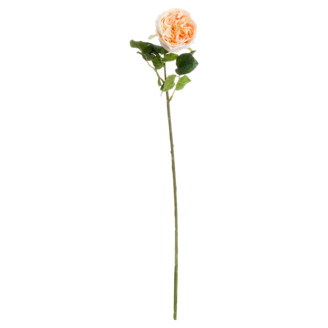 Butter Portland Rose - £20.95 - Artificial Flowers 