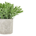 Buxus Plant In Stone Effect Pot-Gifts & Accessories > All Artificial Potted Plants > Ornaments