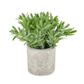 Buxus Plant In Stone Effect Pot - £22.95 - Gifts & Accessories > All Artificial Potted Plants > Ornaments 