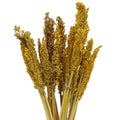 Cantal Grass Bunch - Amber - £36.0 - 