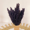 Cantal Grass Bunch - Black-