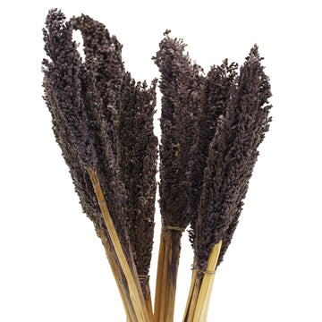 Cantal Grass Bunch - Black - £36.0 - 