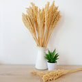 Cantal Grass Bunch - Natural-