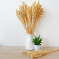 Cantal Grass Bunch - Natural-