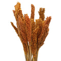 Cantal Grass Bunch - Orange - £36.0 - 