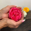 Craft Soap Flower - Ext Large Peony - Pink-