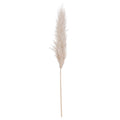 Cream Pampas grass-Artificial Flowers