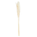 Cream Pampas Grass Stem-Artificial Flowers