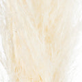 Cream Pampas Grass Stem-Artificial Flowers