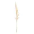 Cream Pampas Grass Stem-Artificial Flowers