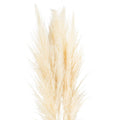 Cream Pampas Grass Stem - £24.95 - Artificial Flowers 