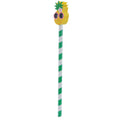 Cute Tropical Design Pencil and Eraser Set-