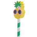 Cute Tropical Design Pencil and Eraser Set-