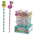 Cute Tropical Design Pencil and Eraser Set - £5.0 - 