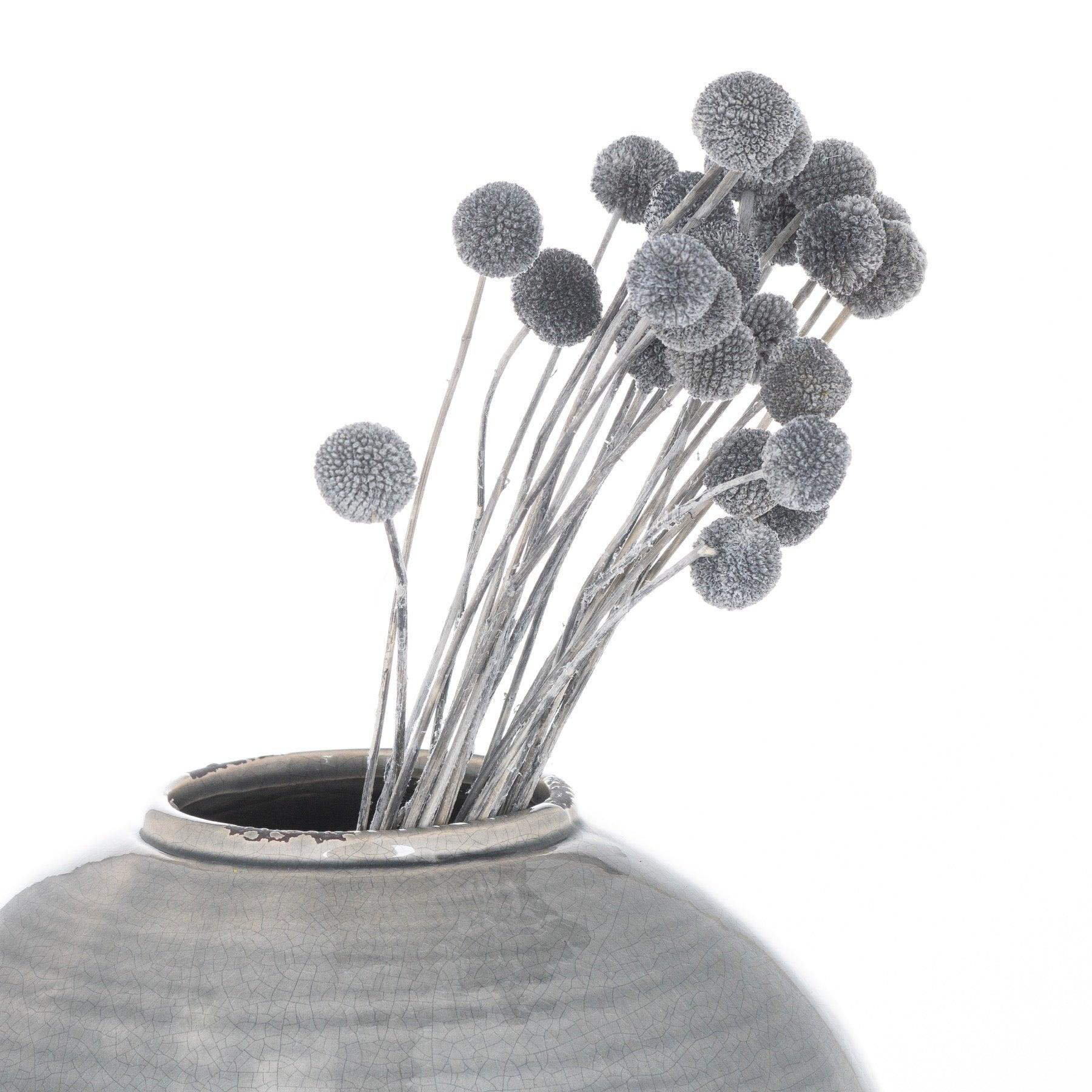 Dried Grey Billy Ball Bunch Of 20-Artificial Flowers