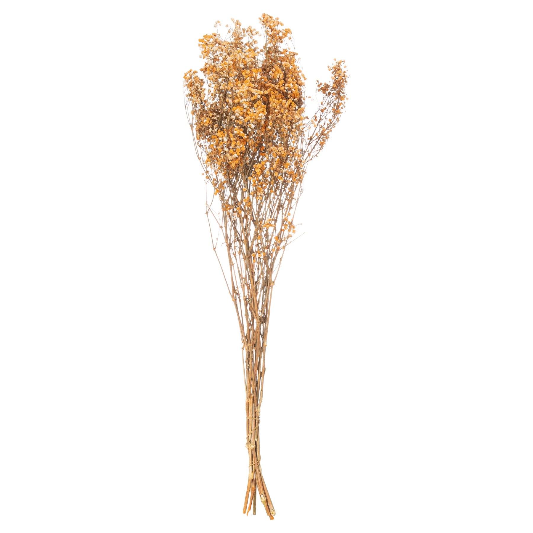 Dried Orange Babys Breath Bunch-Artificial Flowers