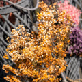 Dried Orange Babys Breath Bunch-Artificial Flowers