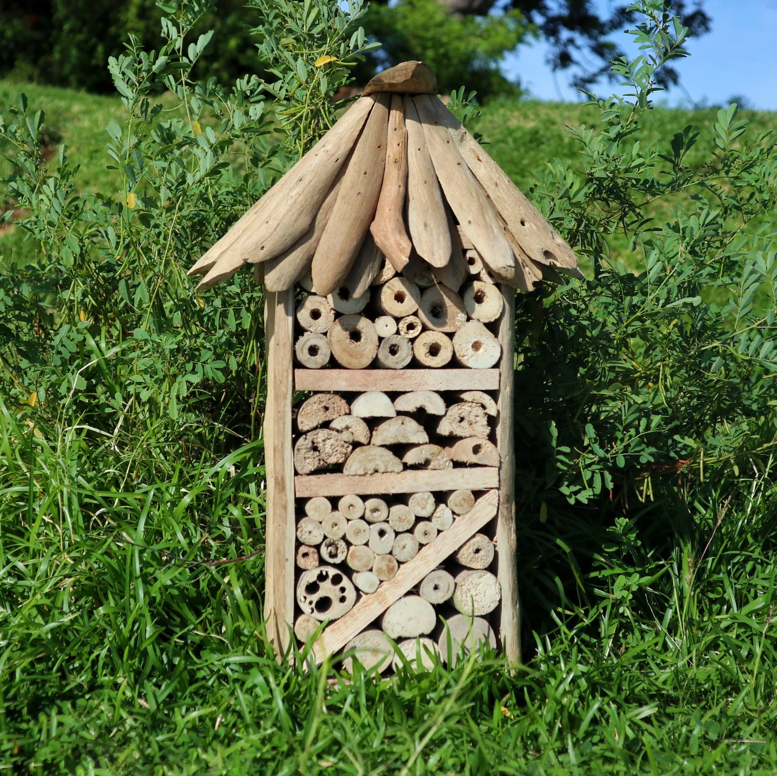 Driftwood Bee & Insect Highrise Box-