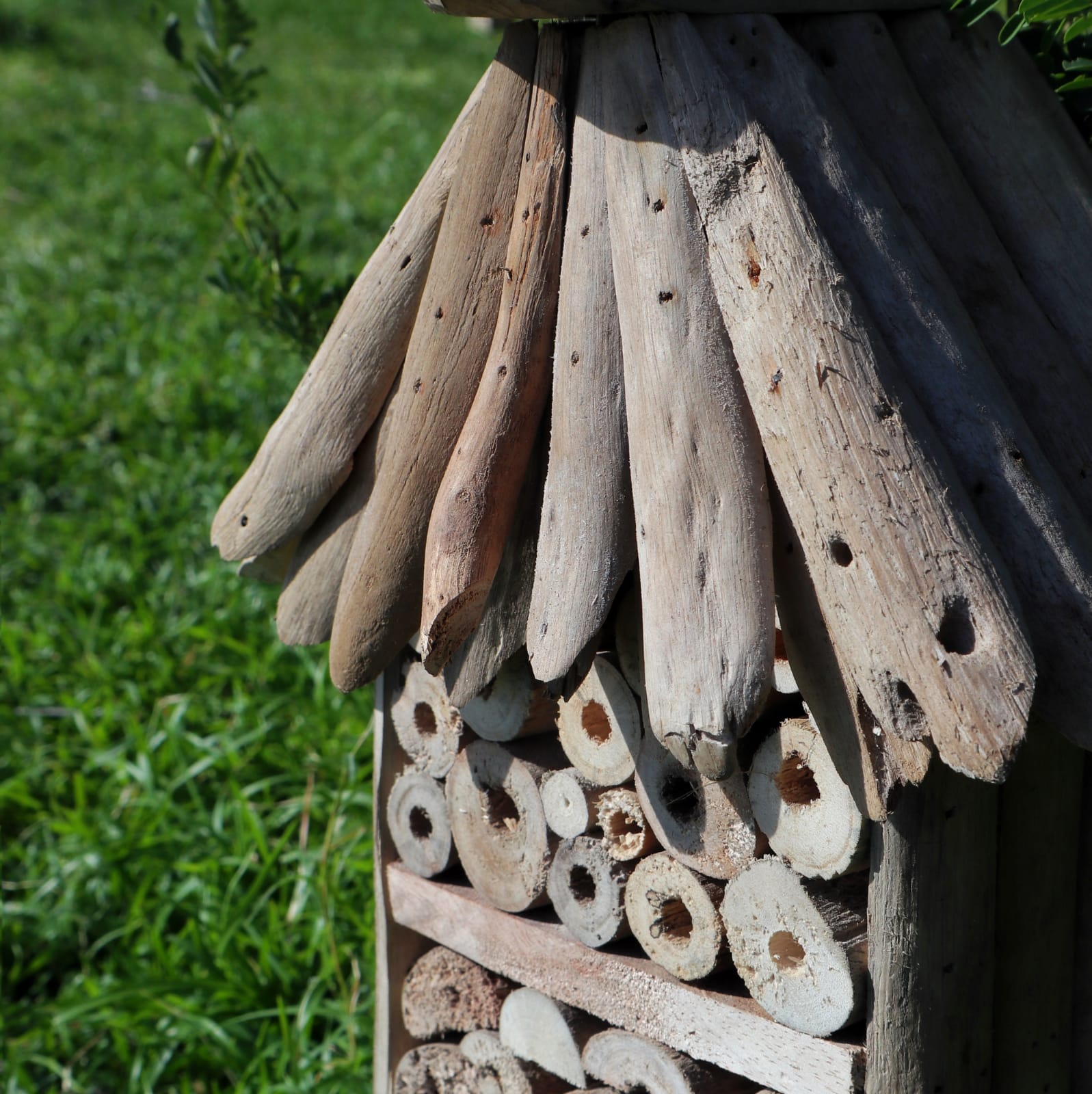 Driftwood Bee & Insect Highrise Box-