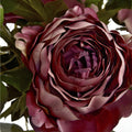 Dusty Pink Spray Rose Peony-Artificial Flowers