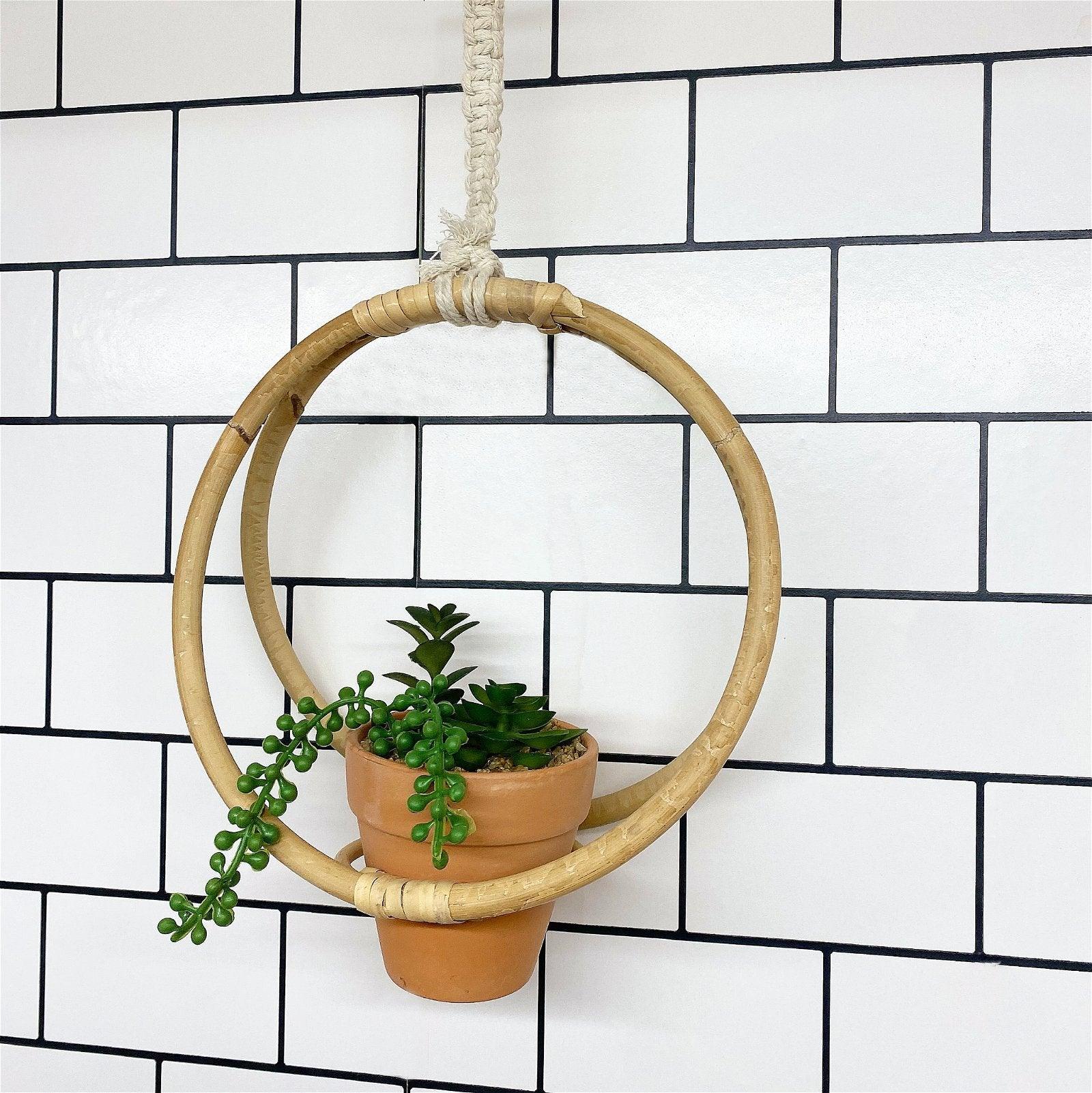 Faux Succulent In Bamboo Hanger - £34.99 - 