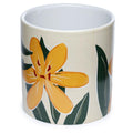 Florens Hesperantha Ceramic Indoor Plant Pot - Large-