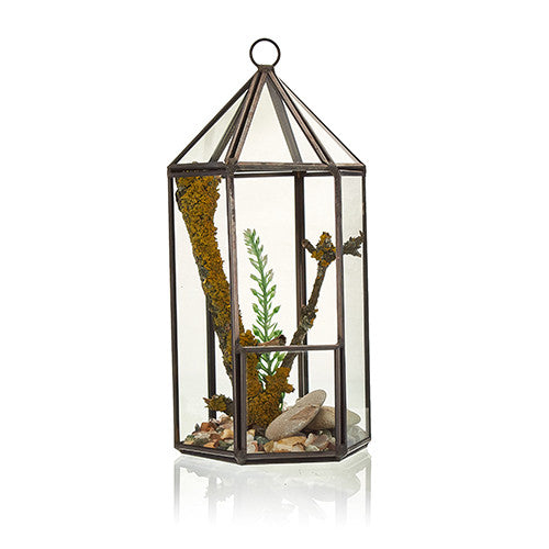 Glass Terrarium - Lantern Shape-