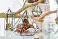 Glass Terrarium - Lantern Shape-