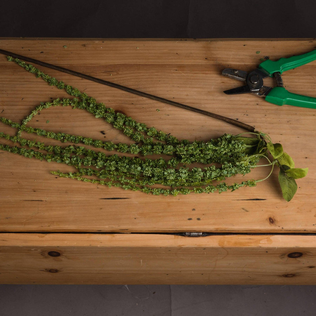 Green Amaranthus - £21.95 - Artificial Flowers 