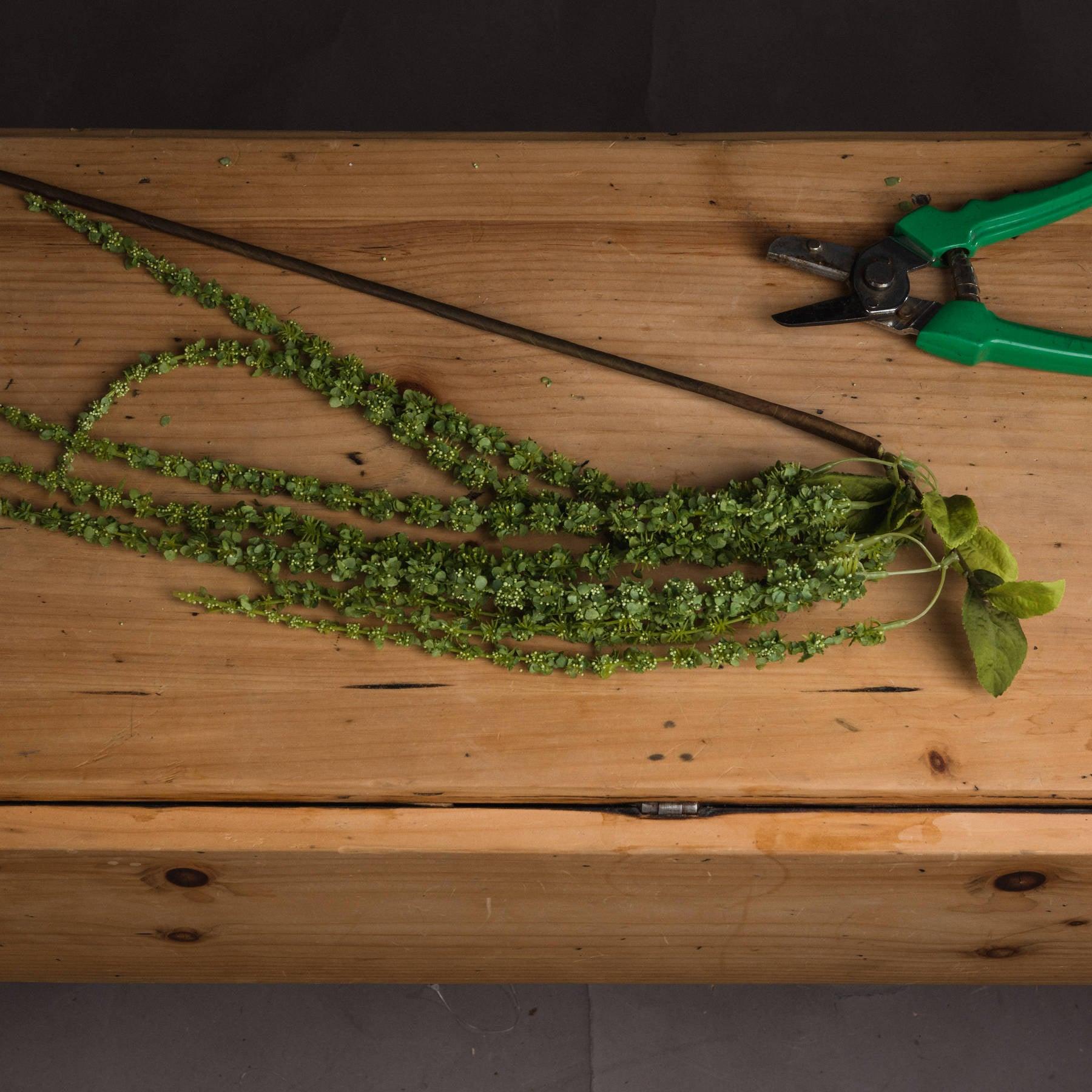 Green Amaranthus-Artificial Flowers