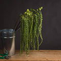 Green Amaranthus - £21.95 - Artificial Flowers 